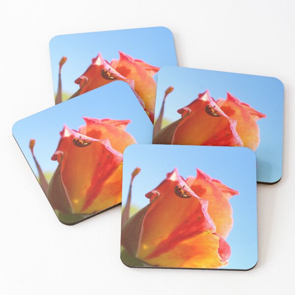 Item preview, Hangin' On designed and sold by ArtsnCulture.