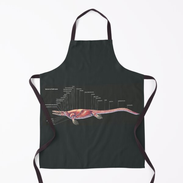 Item preview, Tylosaurus Pembinensis Muscle Study designed and sold by Thedragonofdoom.