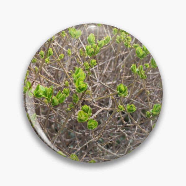 Item preview, Spring Buds, Spring Time, Ready to Bloom, Trees and Bushes designed and sold by 10pmCreations.