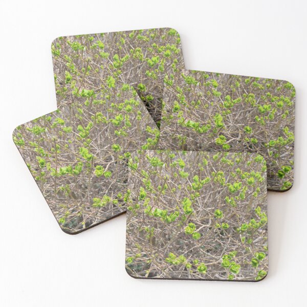 Item preview, Spring Buds, Spring Time, Ready to Bloom, Trees and Bushes designed and sold by 10pmCreations.