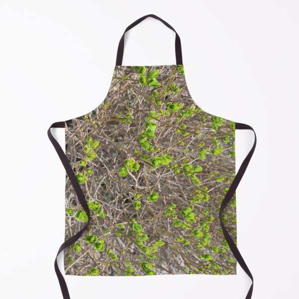 Item preview, Spring Buds, Spring Time, Ready to Bloom, Trees and Bushes designed and sold by 10pmCreations.