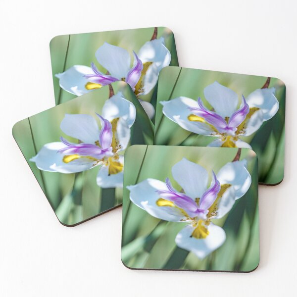 Item preview, Pretty little flower with white, purple and yellow petals designed and sold by CyaniRose.
