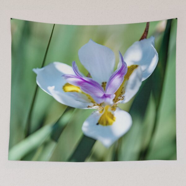 Item preview, Pretty little flower with white, purple and yellow petals designed and sold by CyaniRose.