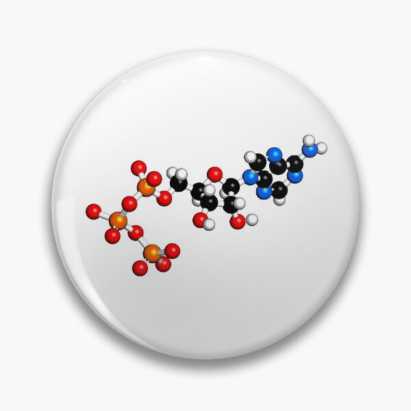Item preview, Adenosine triphosphate (ATP) molecule designed and sold by molekuul.