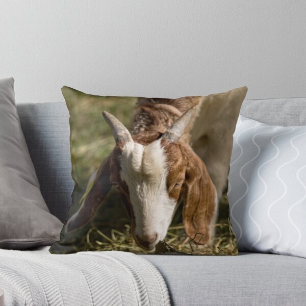 Item preview, Goat designed and sold by Wolf Sverak Photography.