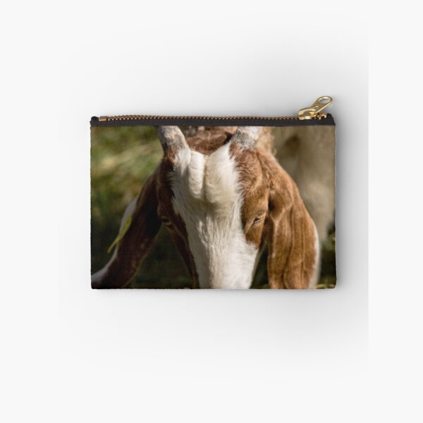 Item preview, Goat designed and sold by Wolf Sverak Photography.