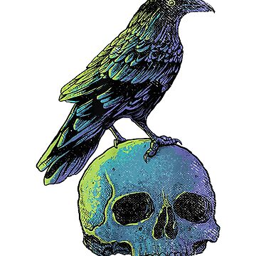 Vintage Style Art Picture Crow Skull Gothic Bones Wall 