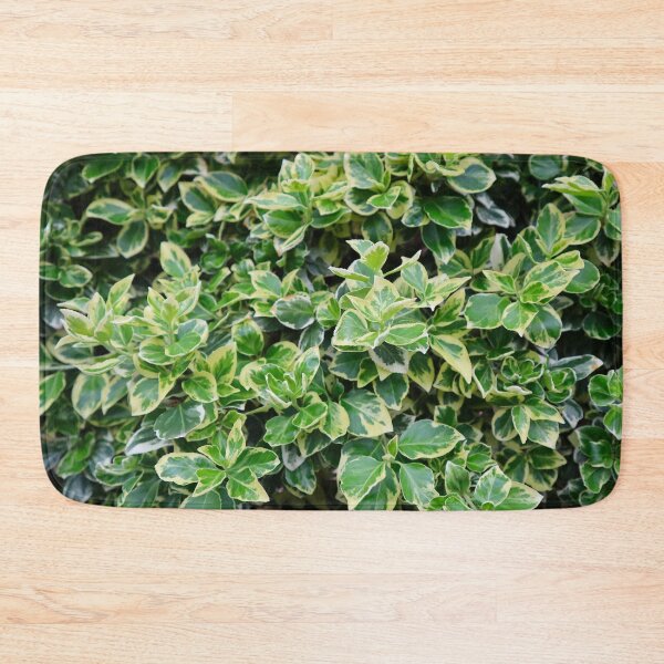 Item preview, Green and White Vining Leaf Pattern Foliage Print designed and sold by PrettyLittlePic.