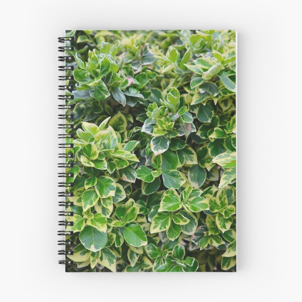 Item preview, Wall of Leaves, Green and White Vining Leaf Pattern Foliage Print designed and sold by PrettyLittlePic.
