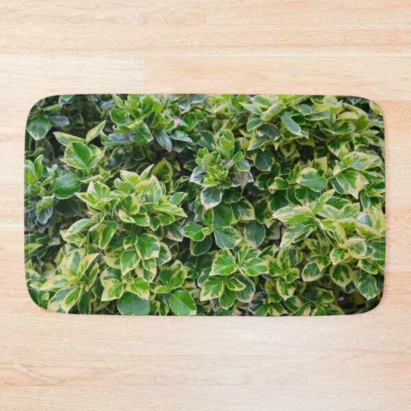 Item preview, Wall of Leaves, Green and White Vining Leaf Pattern Foliage Print designed and sold by PrettyLittlePic.
