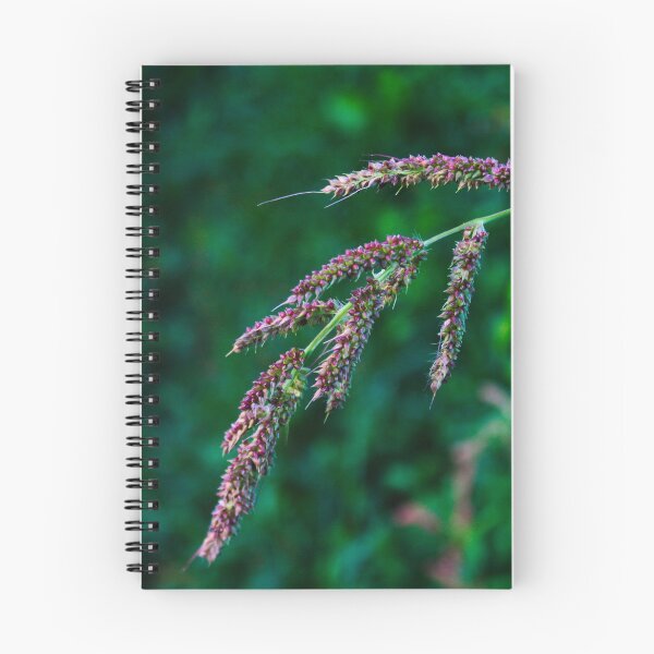 Item preview, Japanese millet designed and sold by Mahirov Shop.