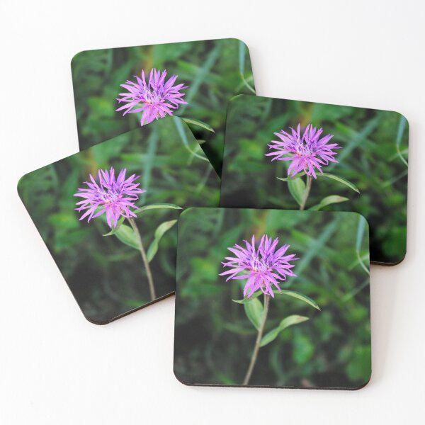 Item preview, Flower of Centaurea nigra designed and sold by Mahirov Shop.