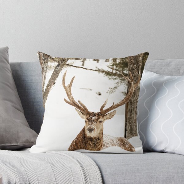 Item preview, A red deer in the snow designed and sold by photobypj.