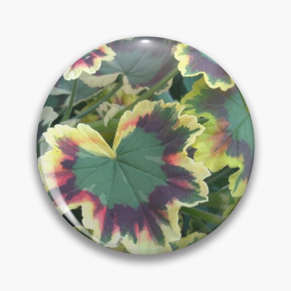 Item preview, Geranium (Pelargonium) Leaves designed and sold by LifeSimpliCity.