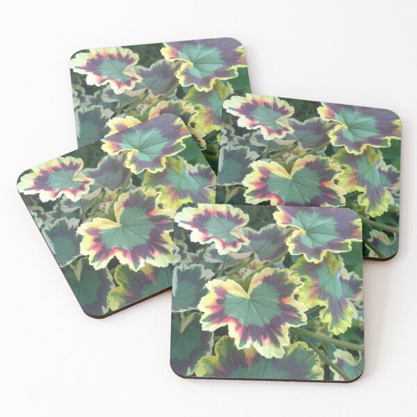 Item preview, Geranium (Pelargonium) Leaves designed and sold by LifeSimpliCity.