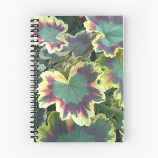 Item preview, Geranium (Pelargonium) Leaves designed and sold by LifeSimpliCity.