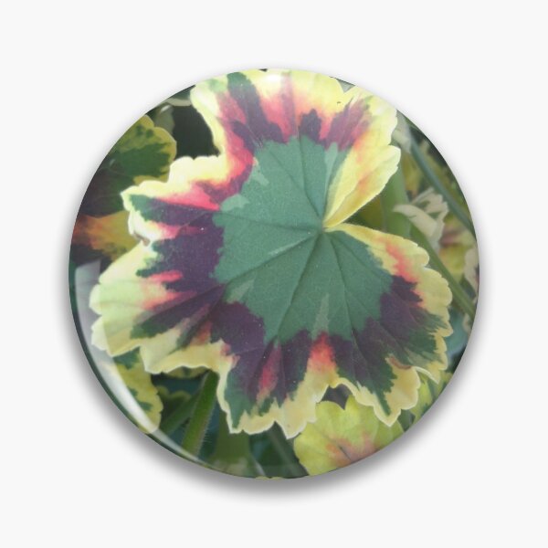 Item preview, Geranium (Pelargonium) Leaves designed and sold by LifeSimpliCity.