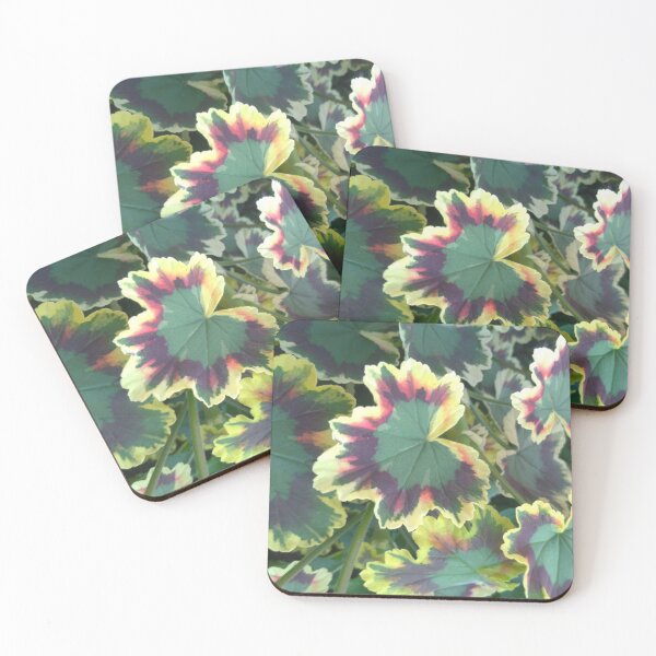 Item preview, Geranium (Pelargonium) Leaves designed and sold by LifeSimpliCity.