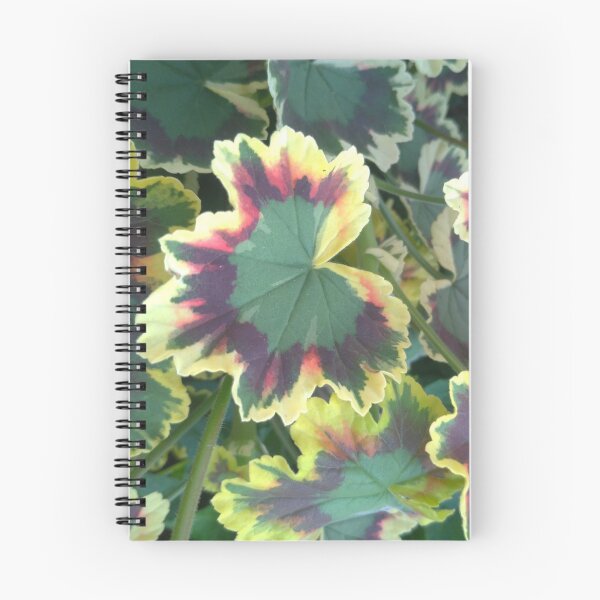 Item preview, Geranium (Pelargonium) Leaves designed and sold by LifeSimpliCity.