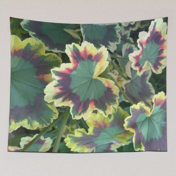 Item preview, Geranium (Pelargonium) Leaves designed and sold by LifeSimpliCity.