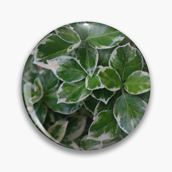 Item preview, Moody Dark Green White Edged Foliage Vining Leaf Pattern designed and sold by PrettyLittlePic.