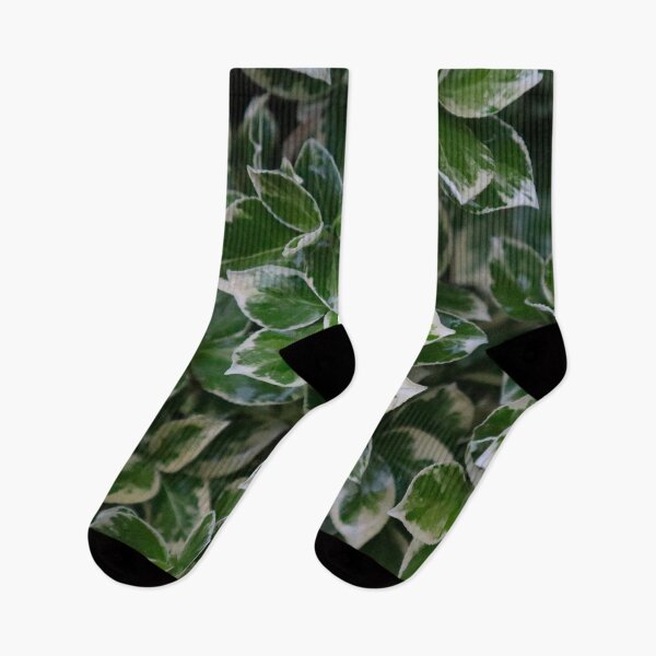 Item preview, Moody Dark Green White Edged Foliage Vining Leaf Pattern designed and sold by PrettyLittlePic.