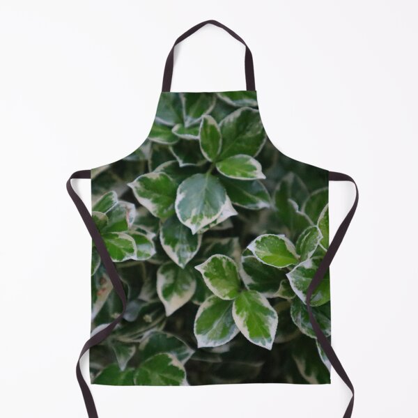 Item preview, Vining Plant with Dark Green Leaves that are White Edged Foliage Vine Leaf Pattern designed and sold by PrettyLittlePic.