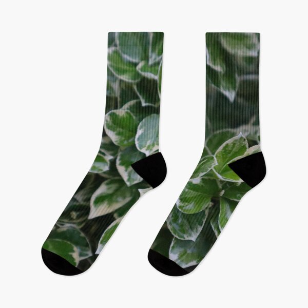 Item preview, Vining Plant with Dark Green Leaves that are White Edged Foliage Vine Leaf Pattern designed and sold by PrettyLittlePic.