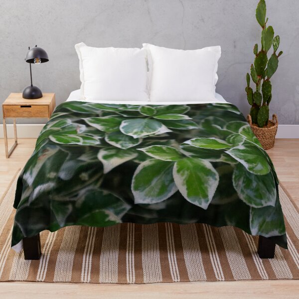 Item preview, Vining Plant with Dark Green Leaves that are White Edged Foliage Vine Leaf Pattern designed and sold by PrettyLittlePic.