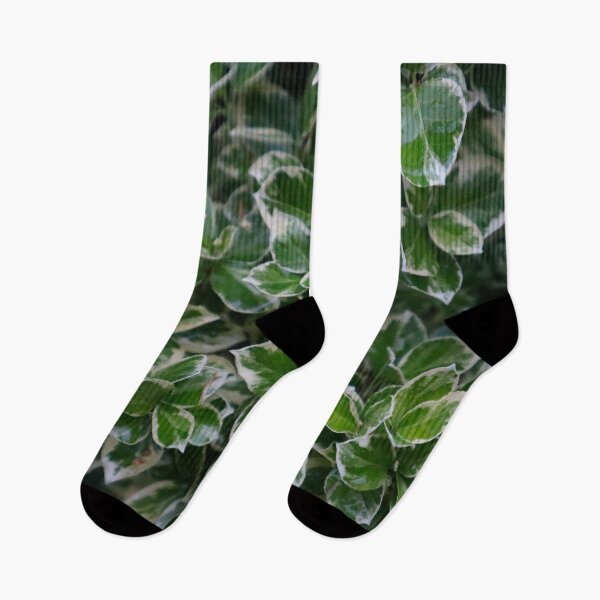 Item preview, Vines of White Lined Green Leafy Pattern on a Overcast Day designed and sold by PrettyLittlePic.