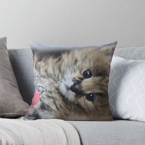 Item preview,  Serval - Cutie baby . by Doctor Andrzej Goszcz. designed and sold by © Andrzej Goszcz,M.D. Ph.D.