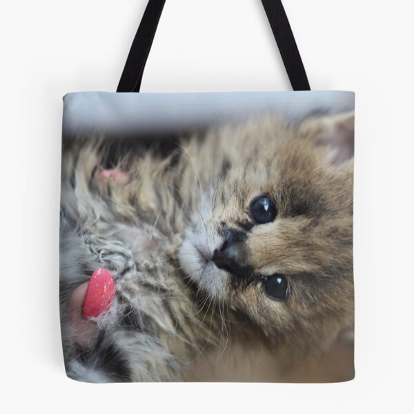 Item preview, Serval - Cutie baby . by Doctor Andrzej Goszcz. designed and sold by © Andrzej Goszcz,M.D. Ph.D.