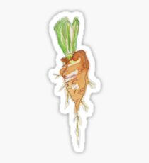 Carrot All Sticker