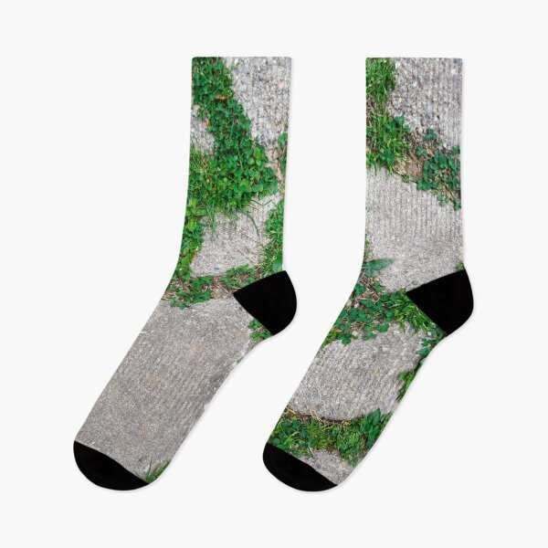 Item preview, Grassy Stone Path Walkway with a Mismatched Geometric Rock Pattern designed and sold by PrettyLittlePic.