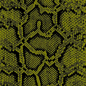 Artwork thumbnail, Python Skin by DesignFantazia