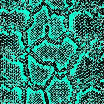 Artwork thumbnail, Python Skin by DesignFantazia