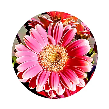 Artwork thumbnail, Spring Flower Sticker by Geomonic