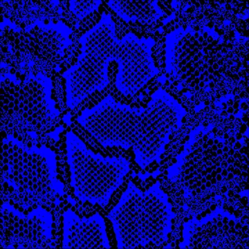 Artwork thumbnail, Python Skin by DesignFantazia