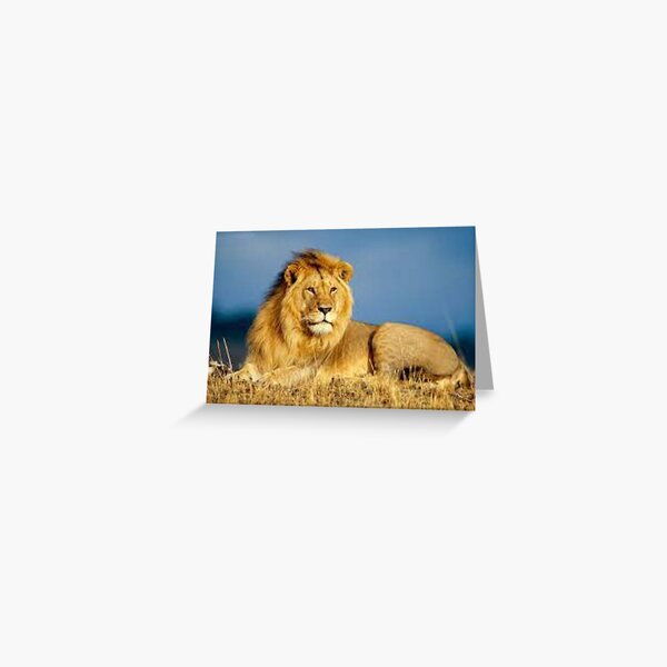 Item preview, Lion designed and sold by BhARTi Taylor.