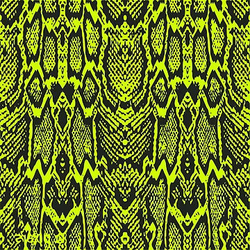 Artwork thumbnail, Python Skin by DesignFantazia