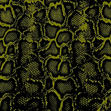 Artwork thumbnail, Python Skin by DesignFantazia