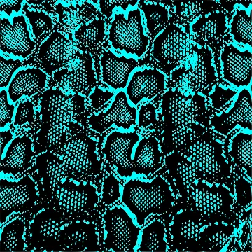 Artwork thumbnail, Python Skin by DesignFantazia