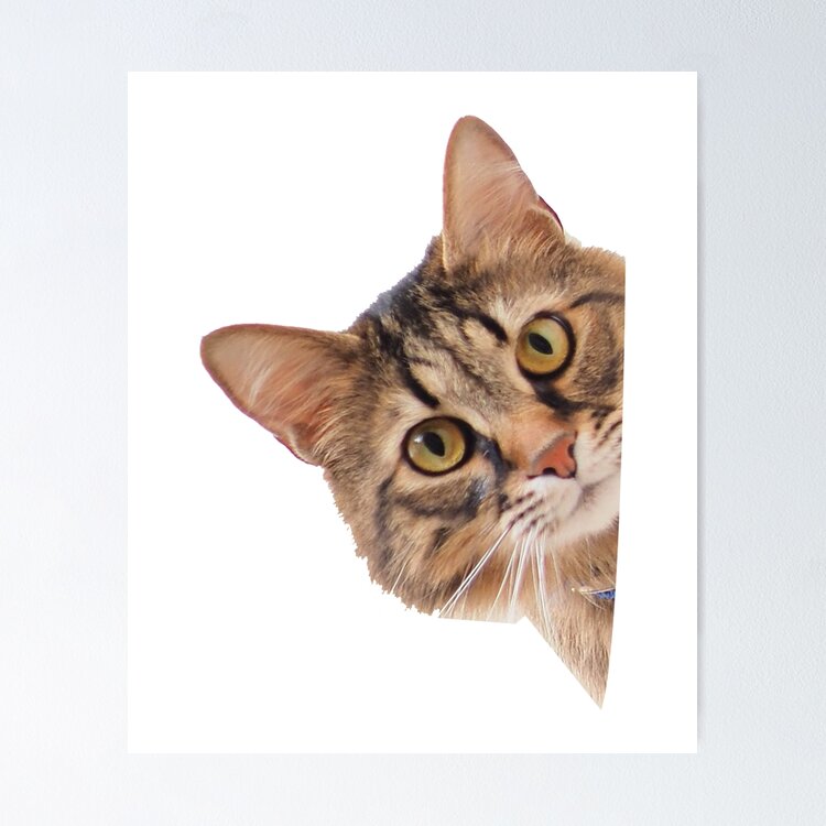 Peeping Cat peeping-cat-poster-for-sale-by-ras-man93-redbubble