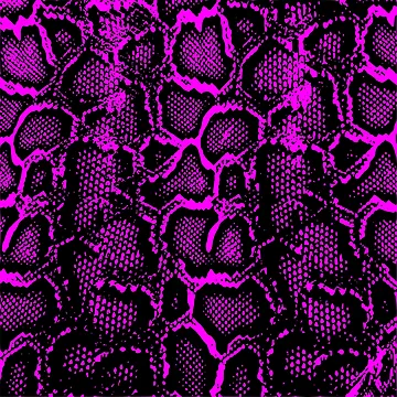Artwork thumbnail, Python Skin by DesignFantazia