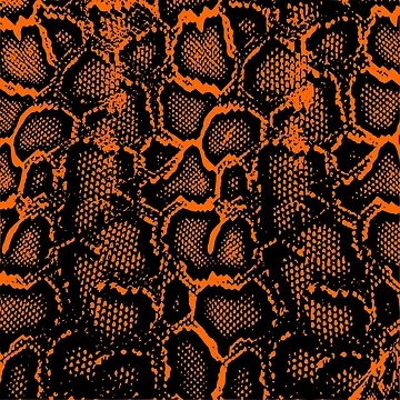 Artwork thumbnail, Python Skin by DesignFantazia