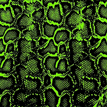 Artwork thumbnail, Python Skin by DesignFantazia