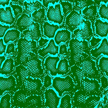 Artwork thumbnail, Python Skin by DesignFantazia