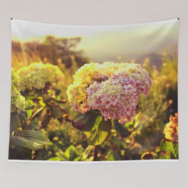 Item preview, Beautiful flowers in Comsagua, El Salvador designed and sold by BeccaKenDesigns.