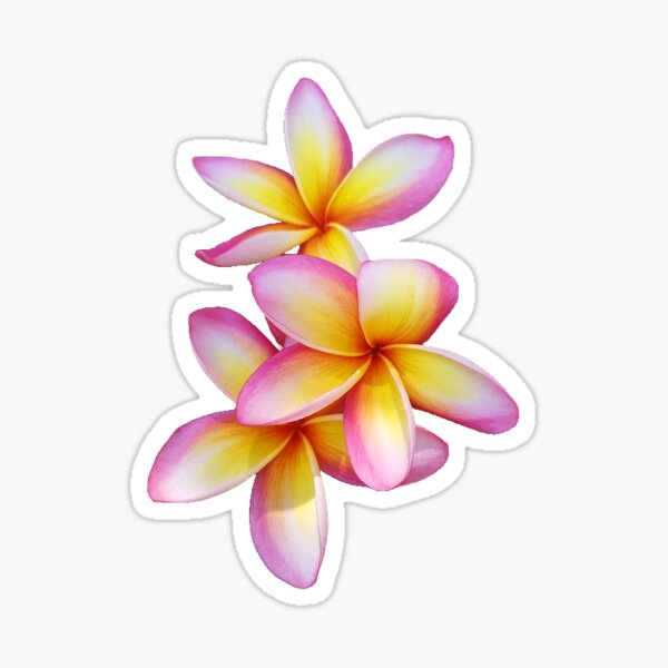 Item preview, Frangipani Trio designed and sold by Natalie Simcock.