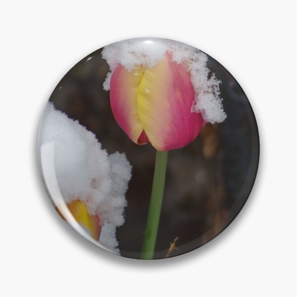 Item preview, April Snow and Tulips designed and sold by SRosuphotos.